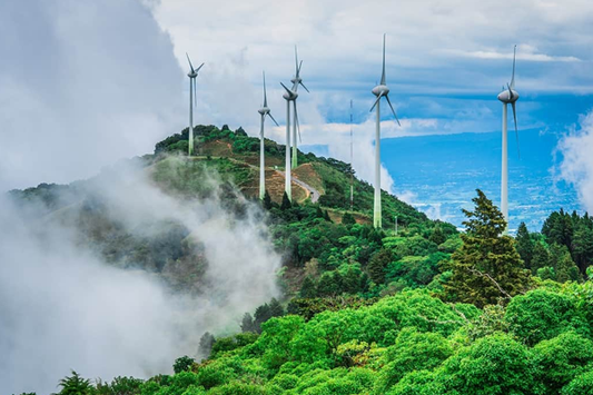 Say Goodbye to Musty Odors with Abzorby’s Odor-Eliminating Power